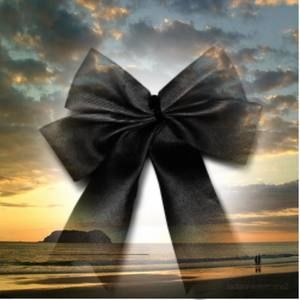 Meet your Posher, Fatima